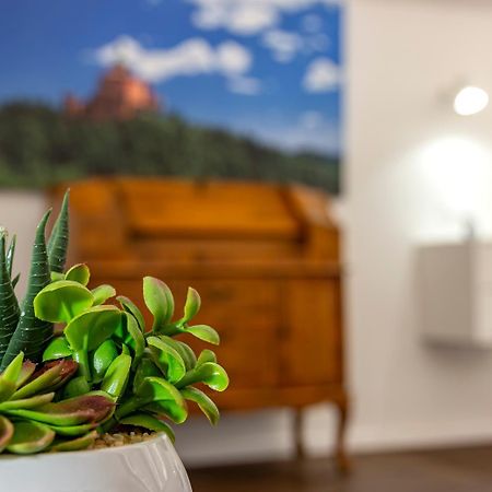 Righi Suite Apartment Bologna Exterior foto